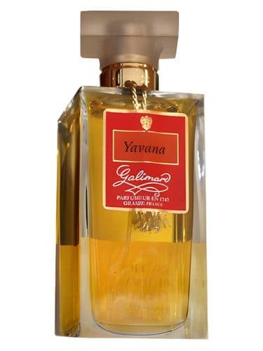 Galimard Yavana