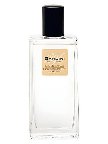 Gandini 1896 Orange Blossom and Leaf