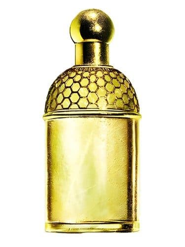 Guerlain Aqua Allegoria Laurier Reglisse