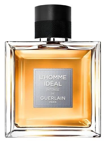 Guerlain L Homme Ideal L Intense