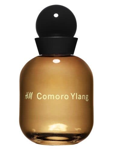 H M H M Comoro Ylang