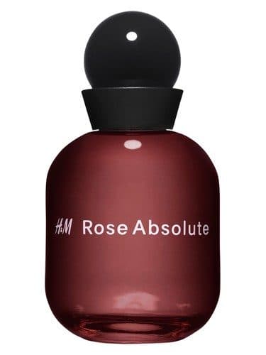 H M H M Rose Absolute