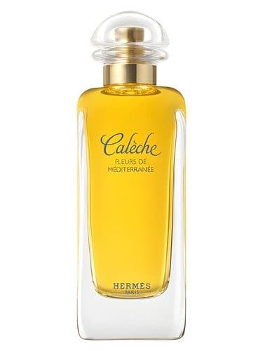 Hermes Caleche Fleurs de Mediterranee
