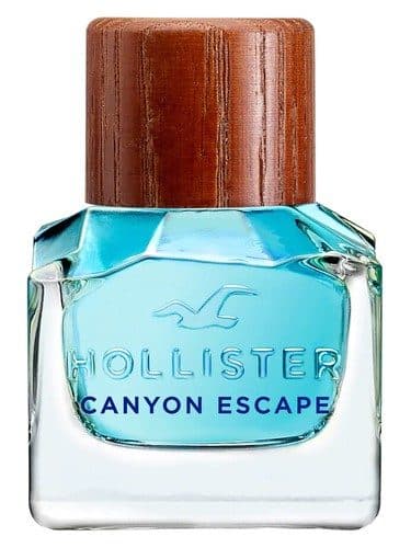 Hollister Hollister Canyon Escape Man