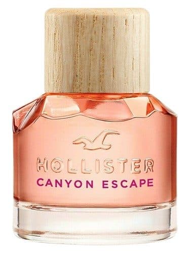 Hollister Hollister Canyon Escape Woman