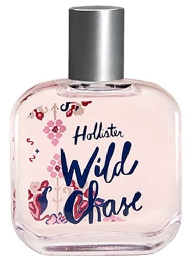 Hollister Wild Chase