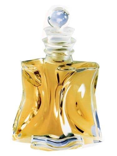 Infinitif Eau D Infinitif