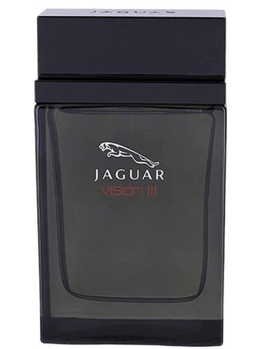 Jaguar Jaguar Vision Iii