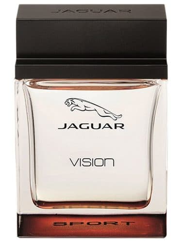 Jaguar Jaguar Vision Sport