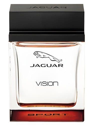 Jaguar Vision