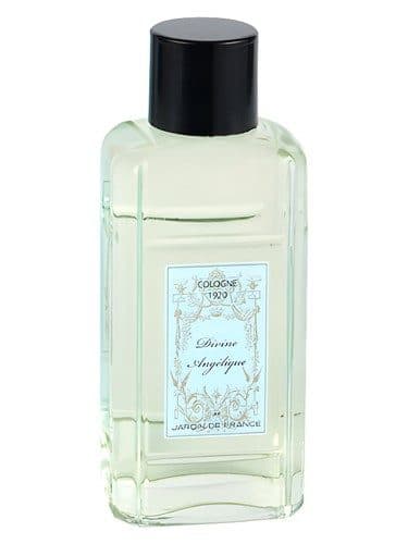 Jardin de France Divine Angelique