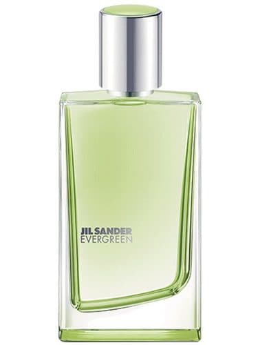 Jil Sander Evergreen