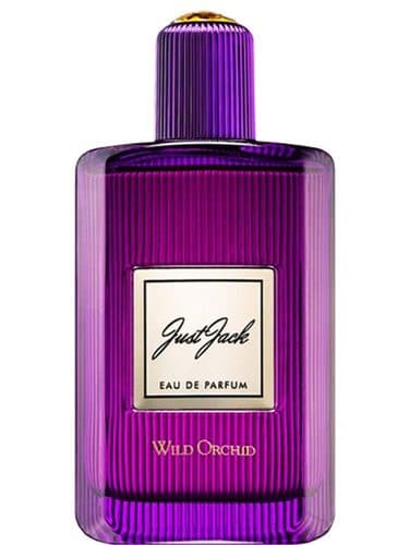 Just Jack Wild Orchid
