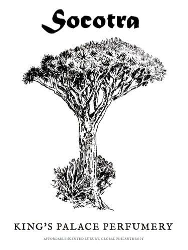 King S Palace Perfumery Socotra
