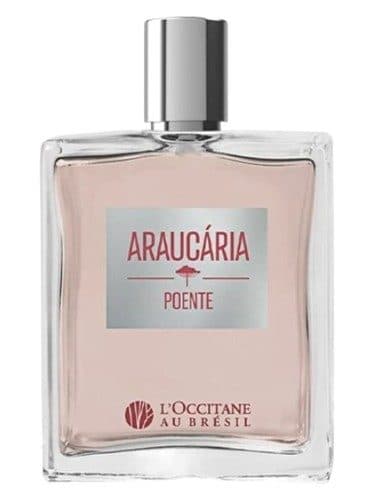 L Occitane Au Bresil Araucaria Poente