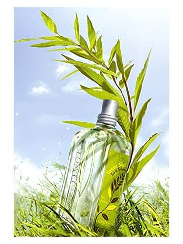 L'Occitane en Provence Verbena Sun