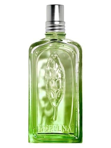 L'Occitane en Provence Verveine Cactus