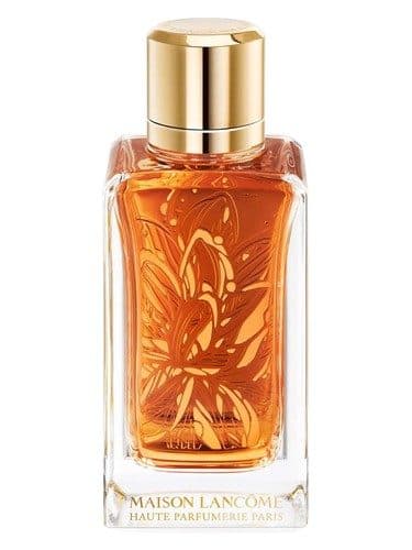 Lancome Tube Reuses Castane