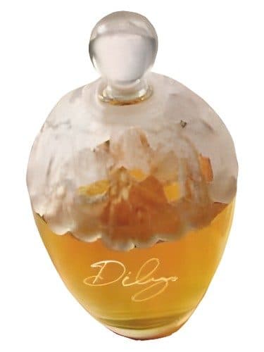 Laura Ashley Dilys