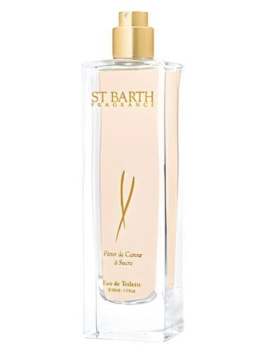 Ligne St Barth Fleur de Canne a Sucre