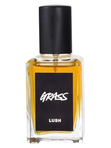 Lush Grass