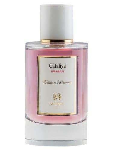 Maissa Parfums Cataliya