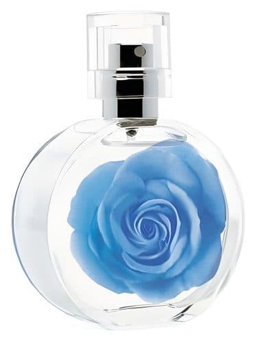 Mark Mark Garden Blu