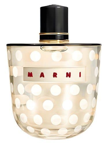 Marni Marni Rose