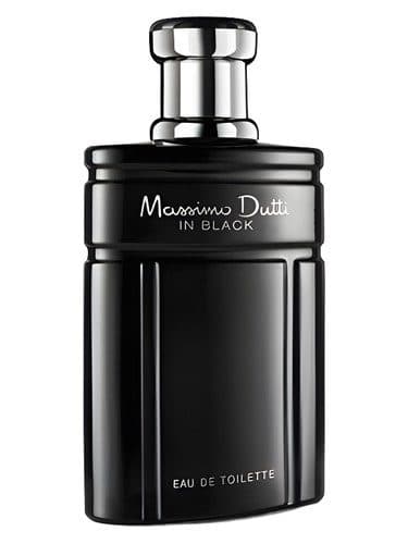 Massimo Dutti Massimo Dutti in Black