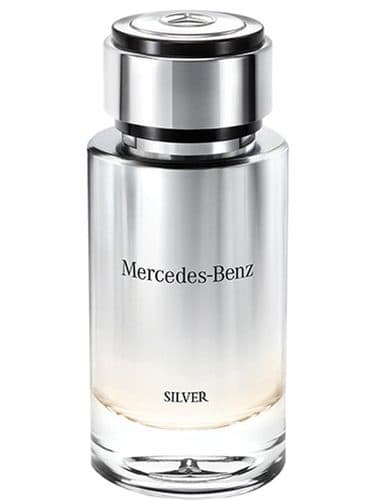 Mercedes Benz Mercedes Benz Silver