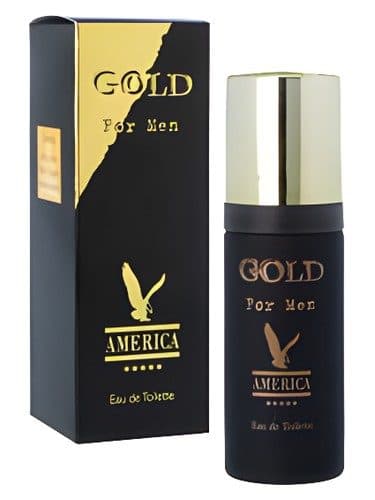 Milton Lloyd America Gold for Men