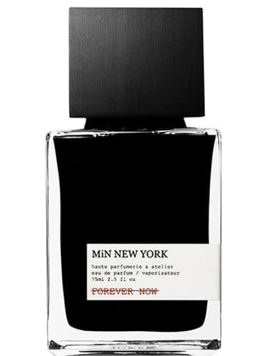 Min New York Forever Now