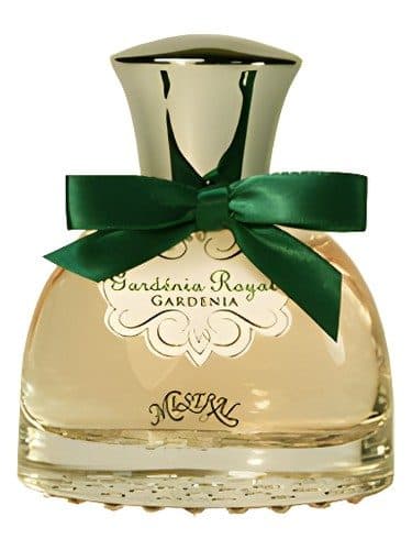 Mistral Gardenia Royal