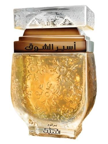 Nabeel Aseer Al Shawq Bronze