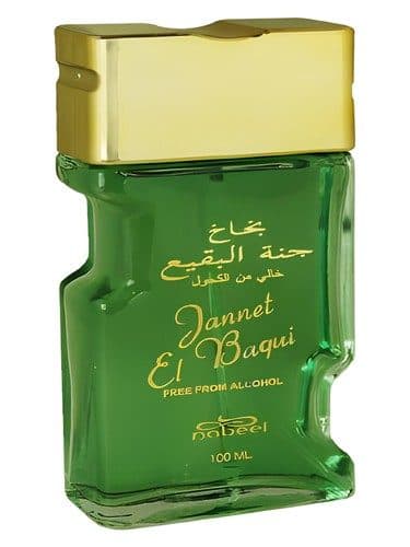Nabeel Jannet El Baqui