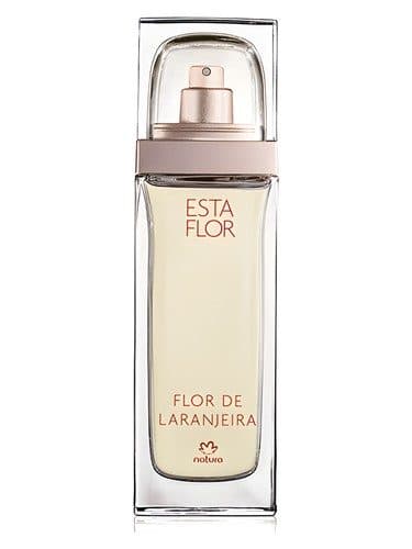 Natura Esta Flor Flor de Laranjeira