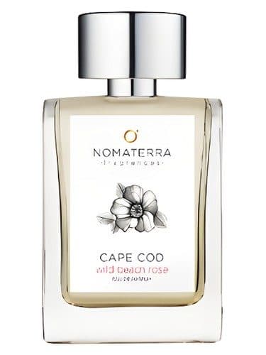 Nomaterra Cape Cod Wild Beach Rose
