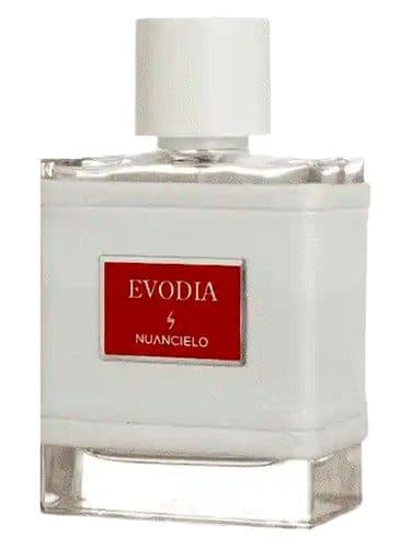 Nuancielo Evodia