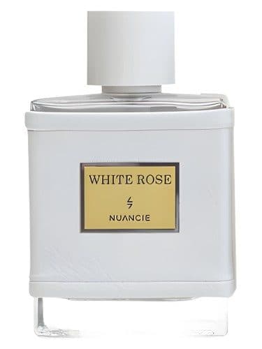 Nuancielo White Rose