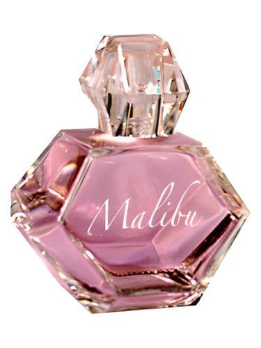 Pamela Anderson Malibu Night