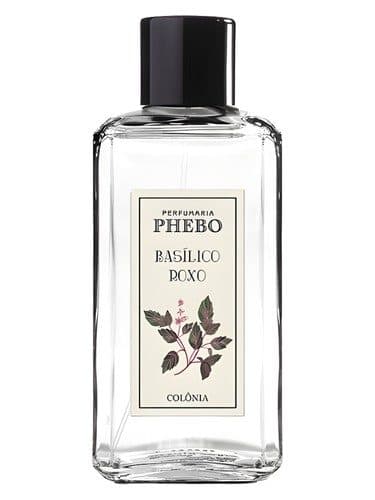 Phebo Basilico Roxo
