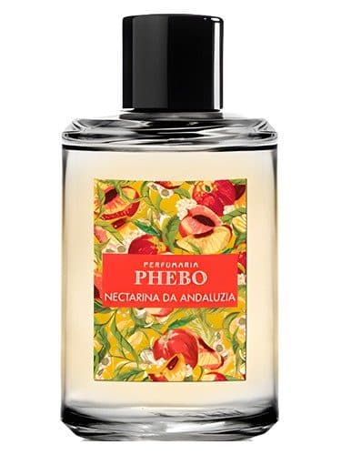 Phebo Nectarina da Andaluzia