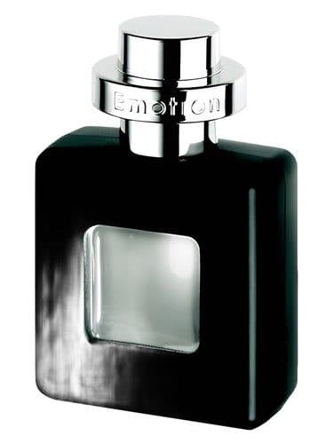 Pierre Cardin Emotion for Men