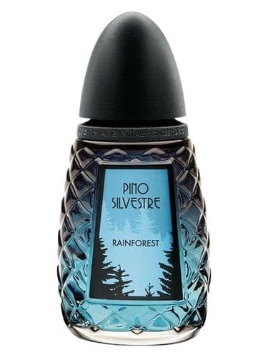 Pino Silvestre Rainforest