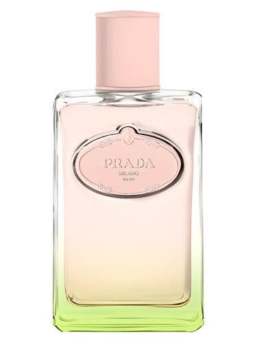 Prada Infusion D Iris L Eau D Iris