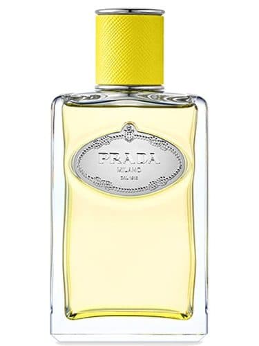Prada Infusion D Ylang