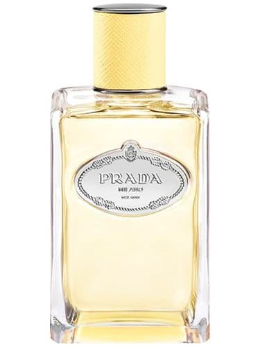 Prada Infusion de Mimosa