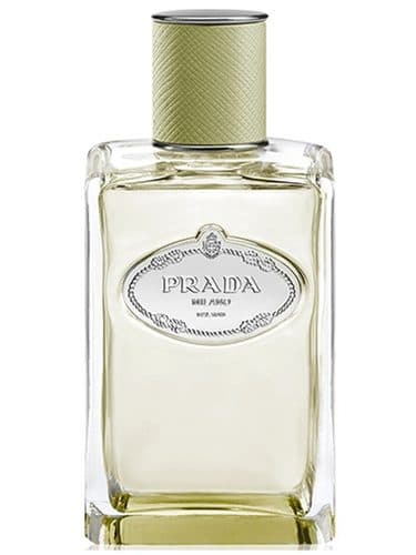 Prada Infusion de Vetiver