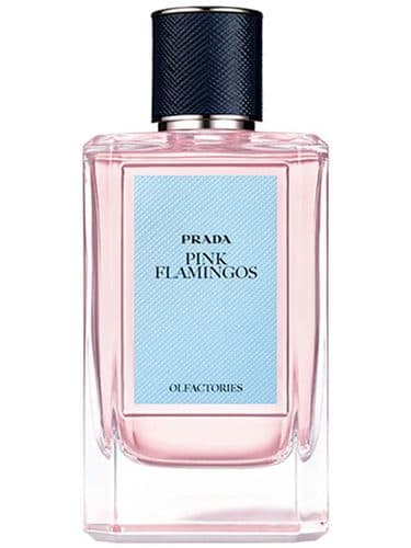 Prada Pink Flamingos