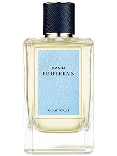 Prada Purple Rain